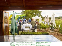 Festival Mar de Tethys 2026 - Bodega Vetas